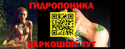 бошки Новодвинск