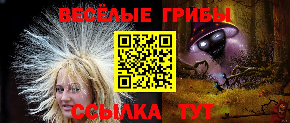 Галлюциногенные грибы ЛСД Чайковский