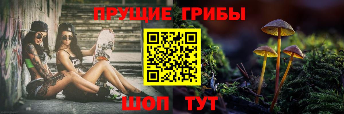 Галлюциногенные грибы GOLDEN TEACHER  Вход с VPN  Чайковский 